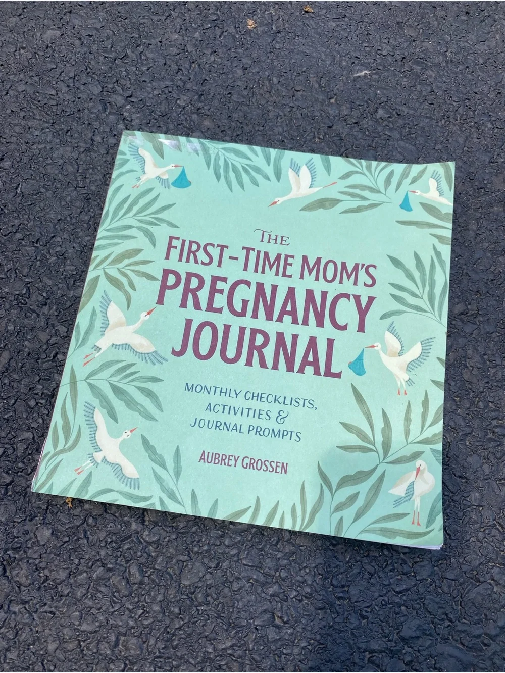 First time mom’s pregnancy baby announcement journal